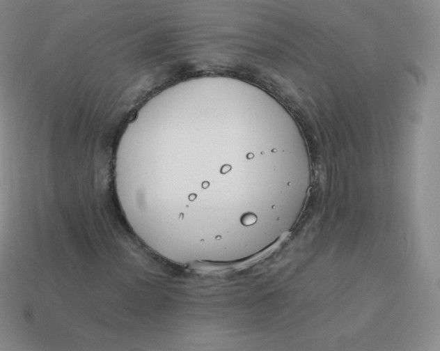 X0000113911012200910151413