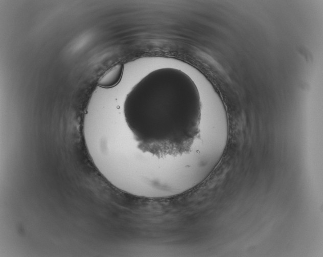 X0000113911013200910151413