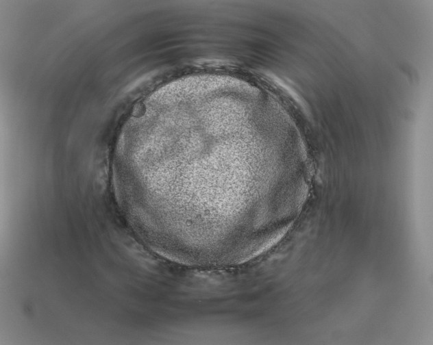 X0000113911015200910151413