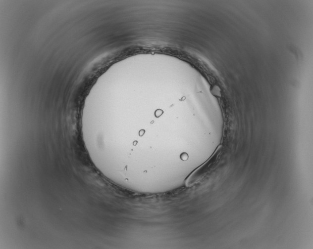 X0000113911016200910151413