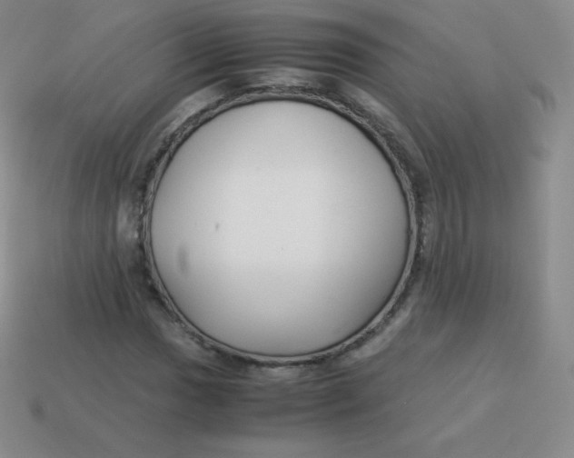 X0000113911017200910151413