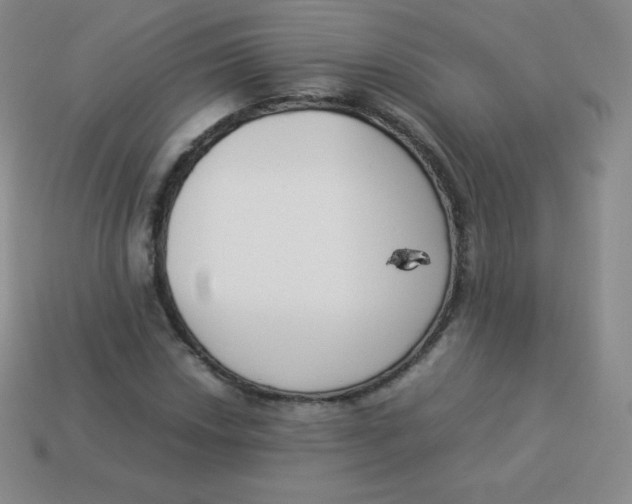 X0000113911018200910151413