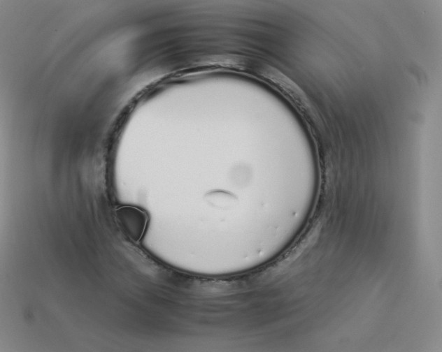 X0000113911019200910151413