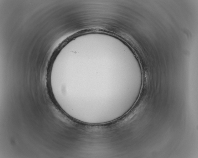 X0000113911020200910151413