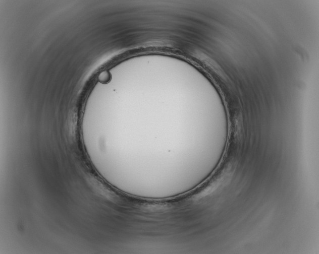 X0000113911021200910151413