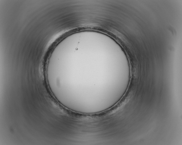 X0000113911022200910151413