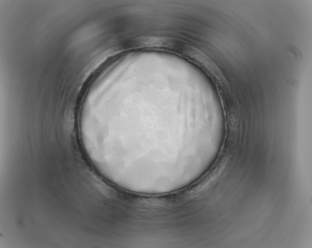 X0000113911023200910151413