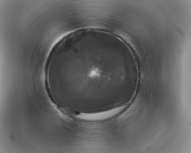 X0000113911024200910151413