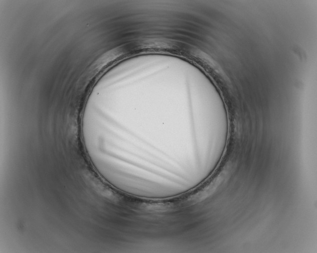 X0000113911025200910151413