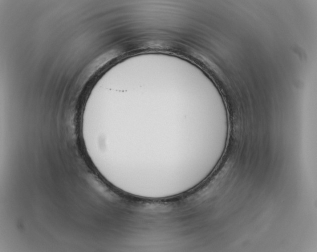 X0000113911026200910151413