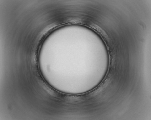 X0000113911027200910151413