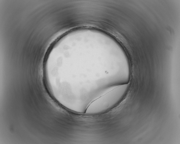 X0000113911028200910151413