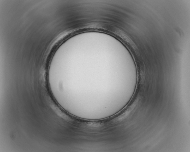 X0000113911029200910151413