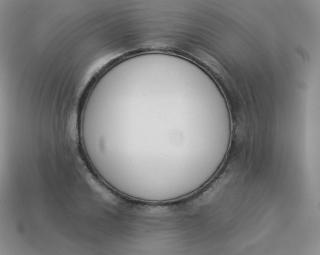 X0000113911030200910151413