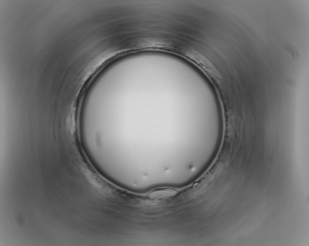 X0000113911031200910151413