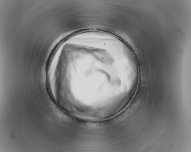 X0000113911032200910151413