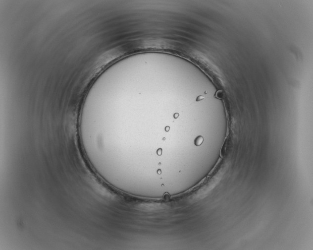 X0000113911033200910151413