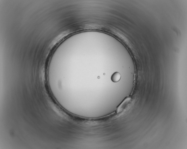 X0000113911034200910151413