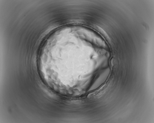 X0000113911035200910151413