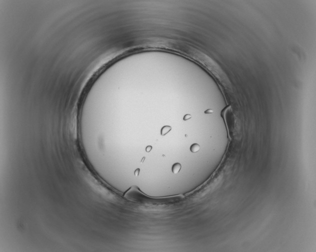 X0000113911036200910151413