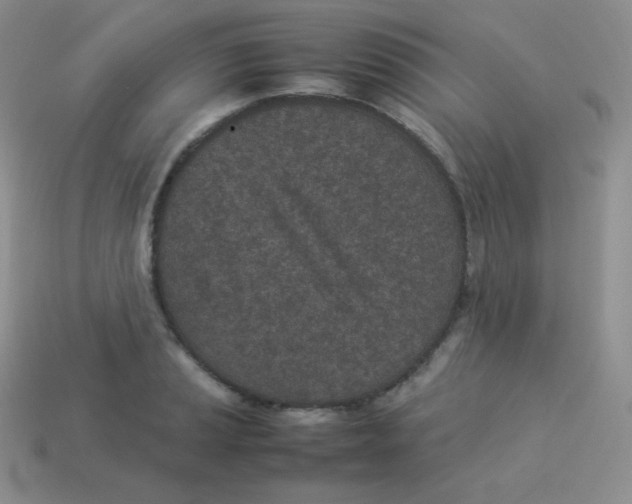 X0000113911037200910151413