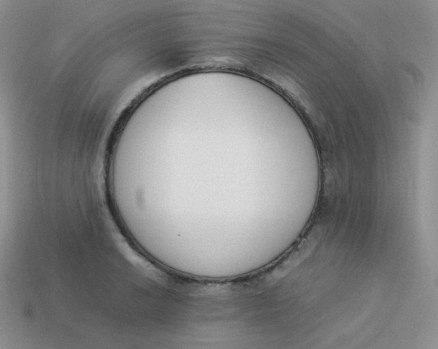 X0000113911038200910151413