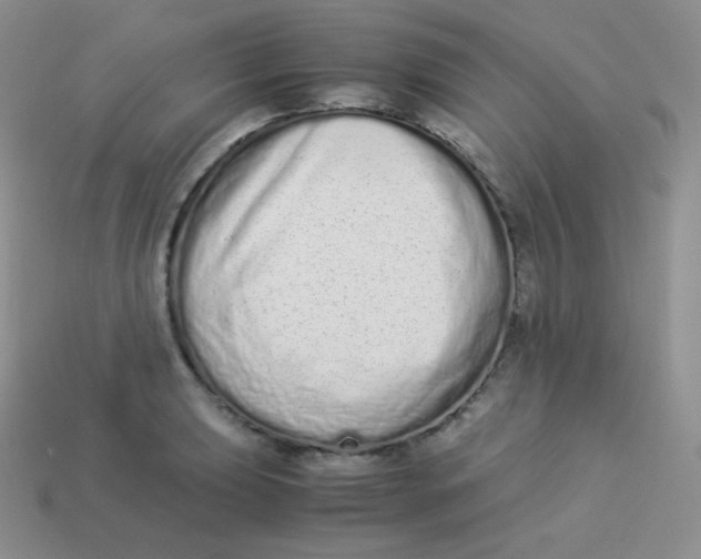 X0000113911039200910151413