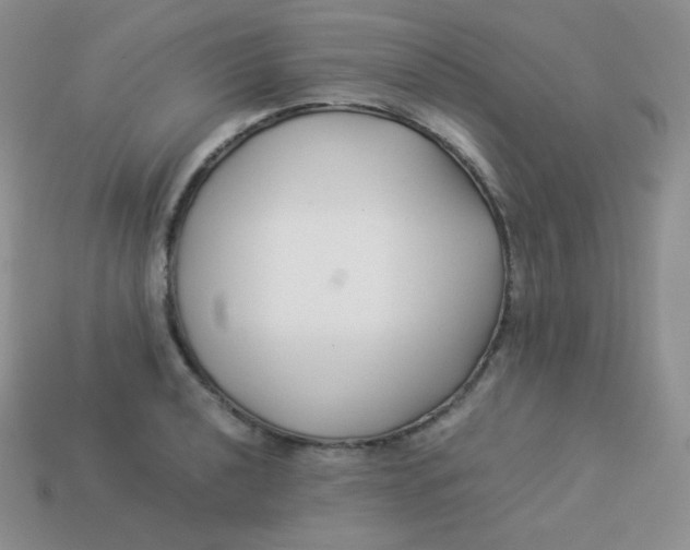 X0000113911040200910151413