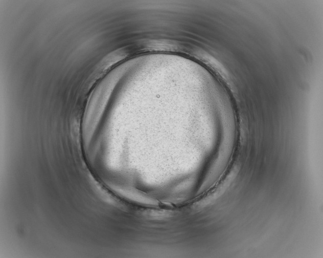 X0000113911041200910151413