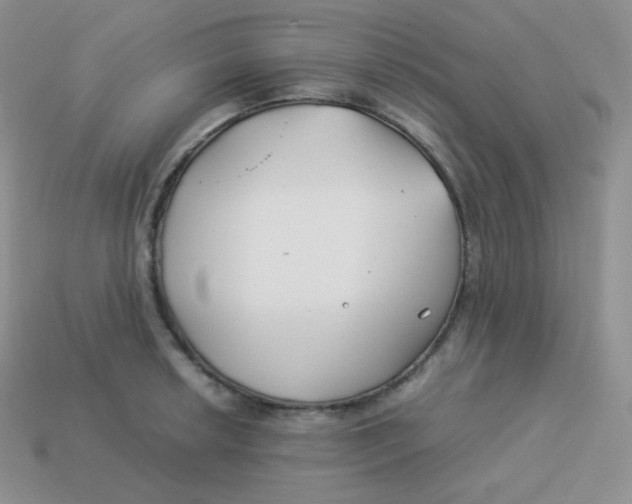 X0000113911042200910151413