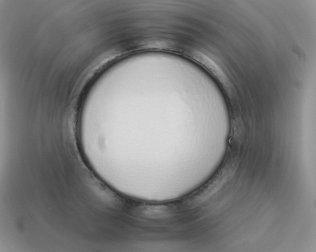 X0000113911043200910151413