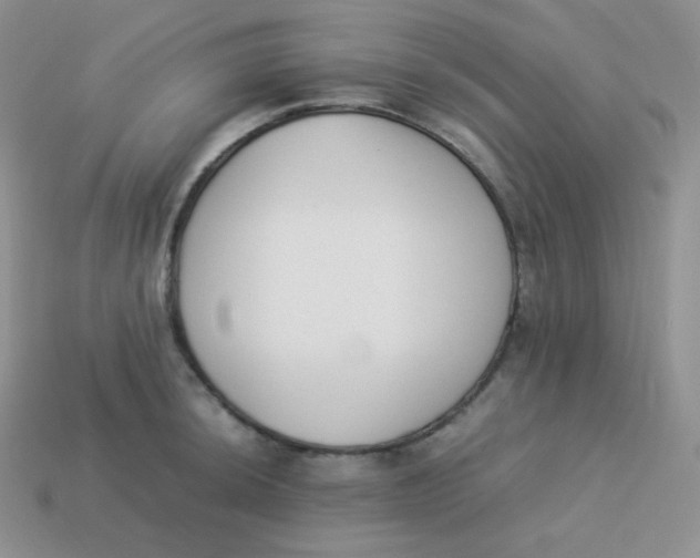 X0000113911044200910151413