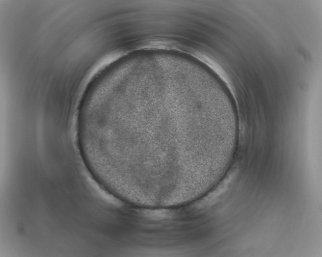 X0000113911045200910151413