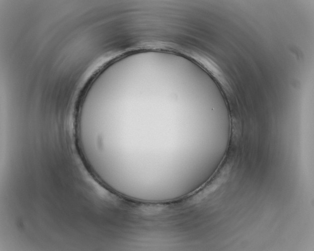 X0000113911046200910151413