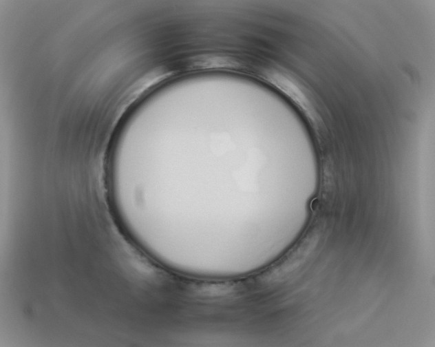 X0000113911047200910151413