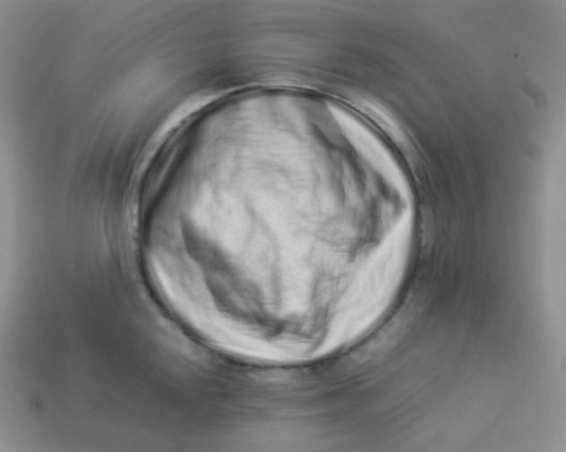 X0000113911048200910151414