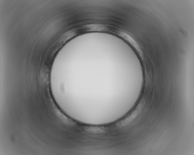 X0000113911049200910151414