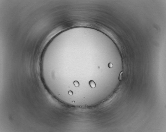 X0000113911050200910151414