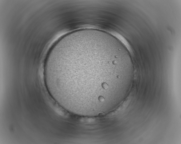 X0000113911051200910151414