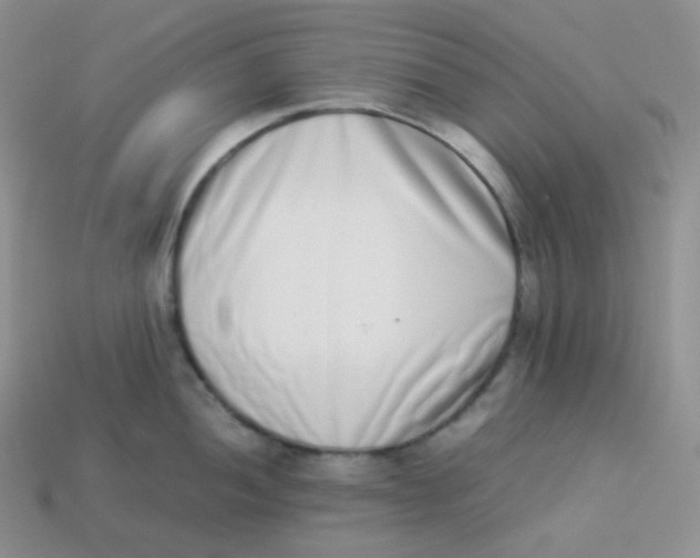 X0000113911052200910151414