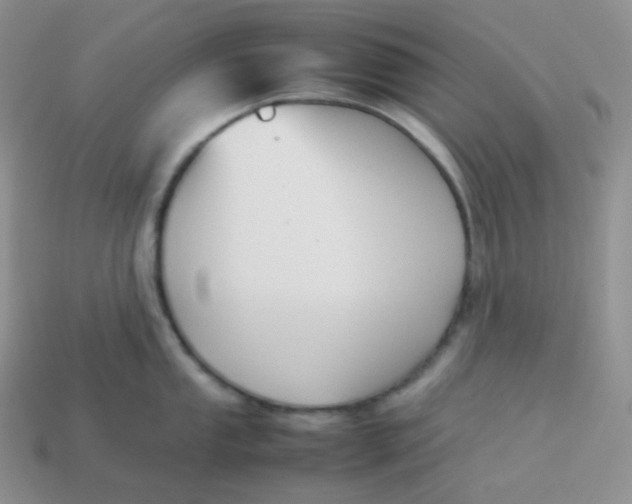 X0000113911053200910151414