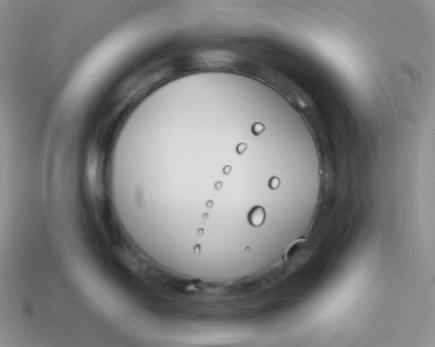 X0000113911054200910151414