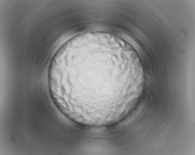 X0000113911055200910151414