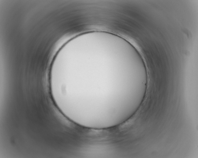 X0000113911056200910151414