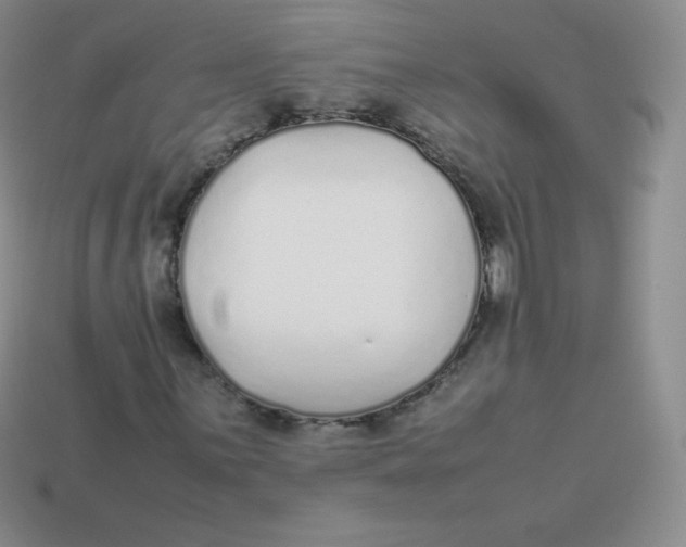 X0000113911059200910151413