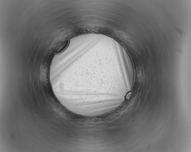 X0000113911060200910151413