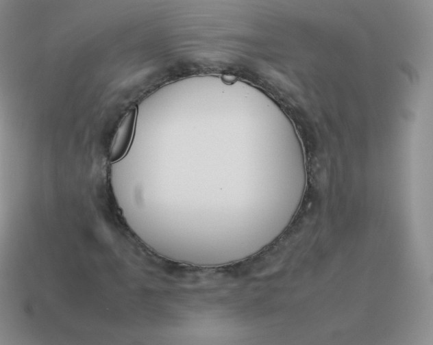 X0000113911061200910151413