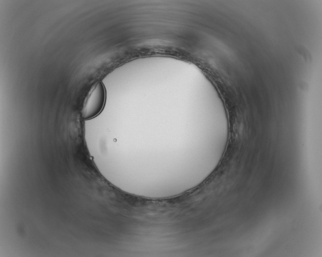 X0000113911062200910151413