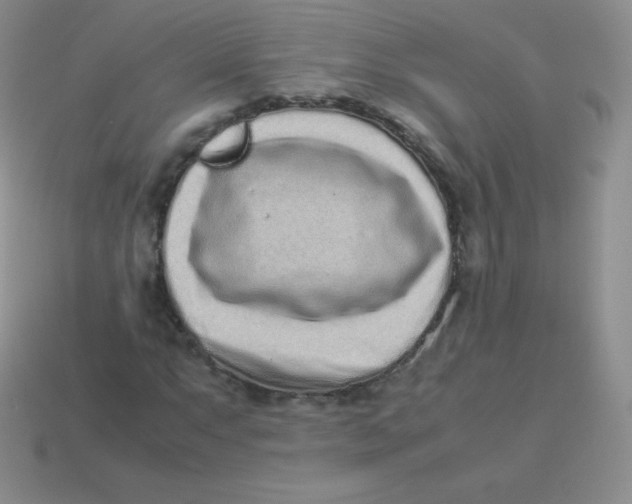 X0000113911063200910151413