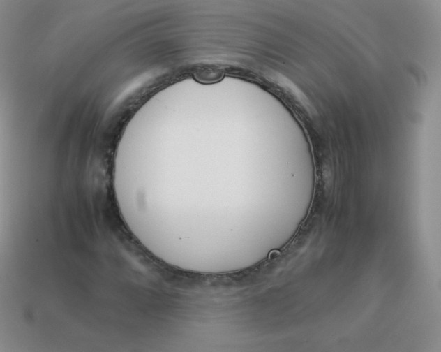 X0000113911064200910151413